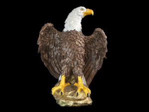 Mr. Eagle