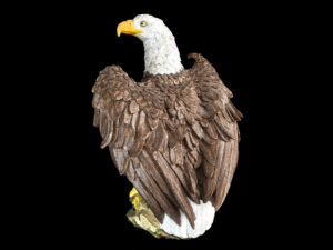 Mr. Eagle