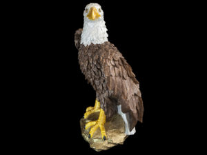 Mr. Eagle