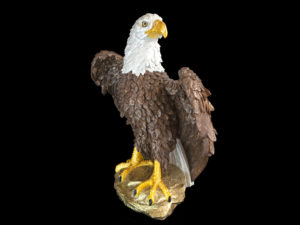 Mr. Eagle