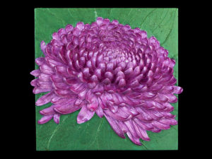 Chrysanthemum Mums the Word