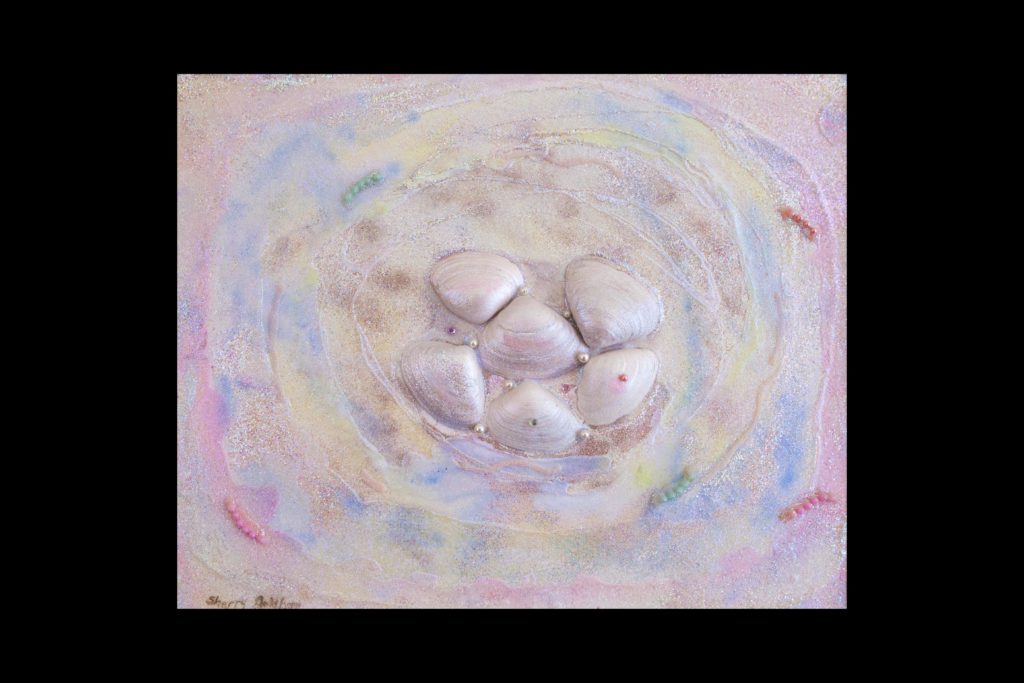 Seashells by the Sea Shore