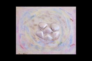 Seashells by the Sea Shore